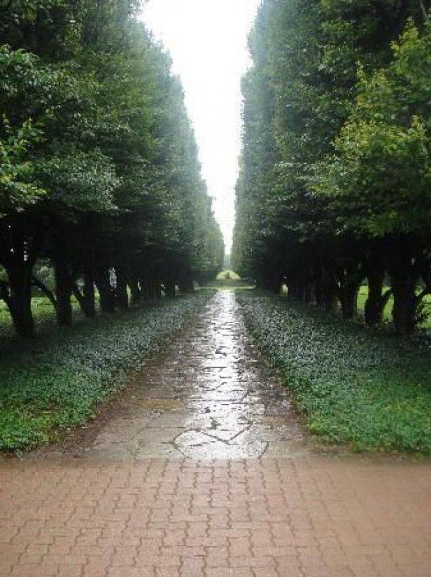 Niagara Parks Botanical Gardens