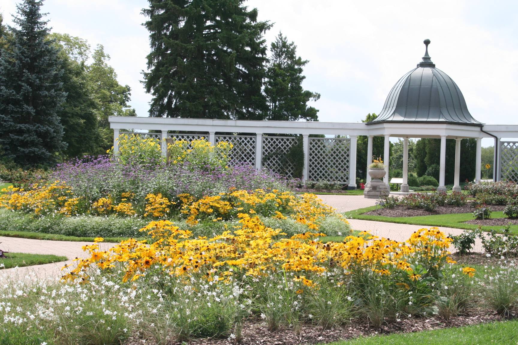 Duluth Rose Garden Park Oh The Places Youll Go Rose Garden