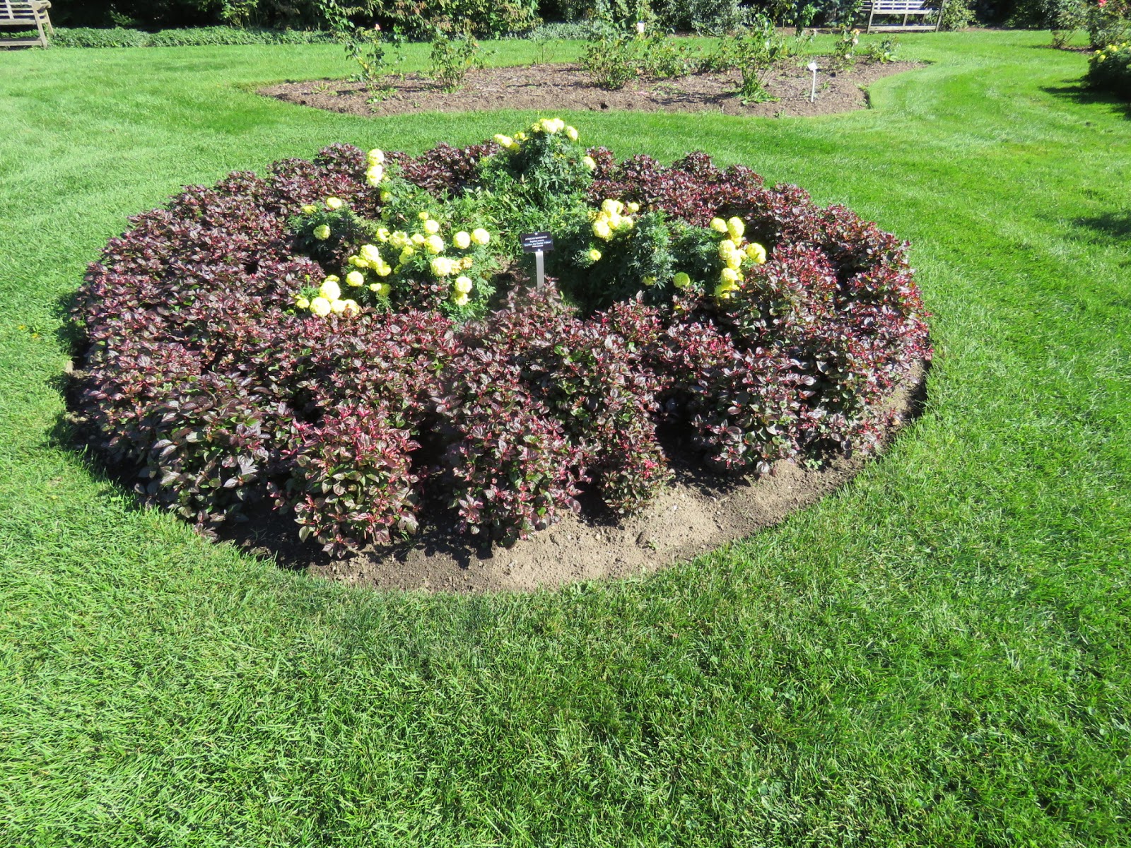 The Botanical Gardens