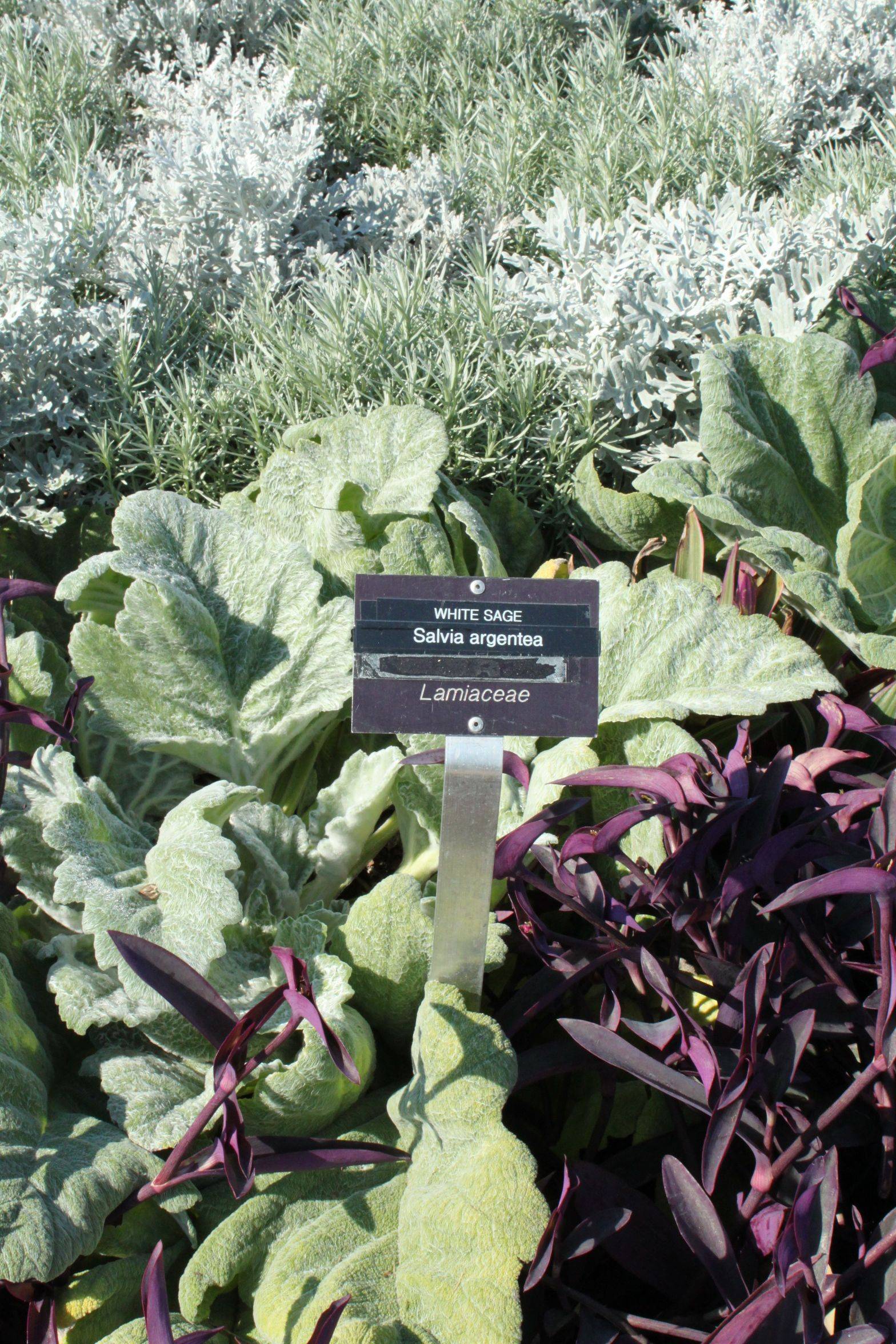 Niagara Parks Botanical Gardens