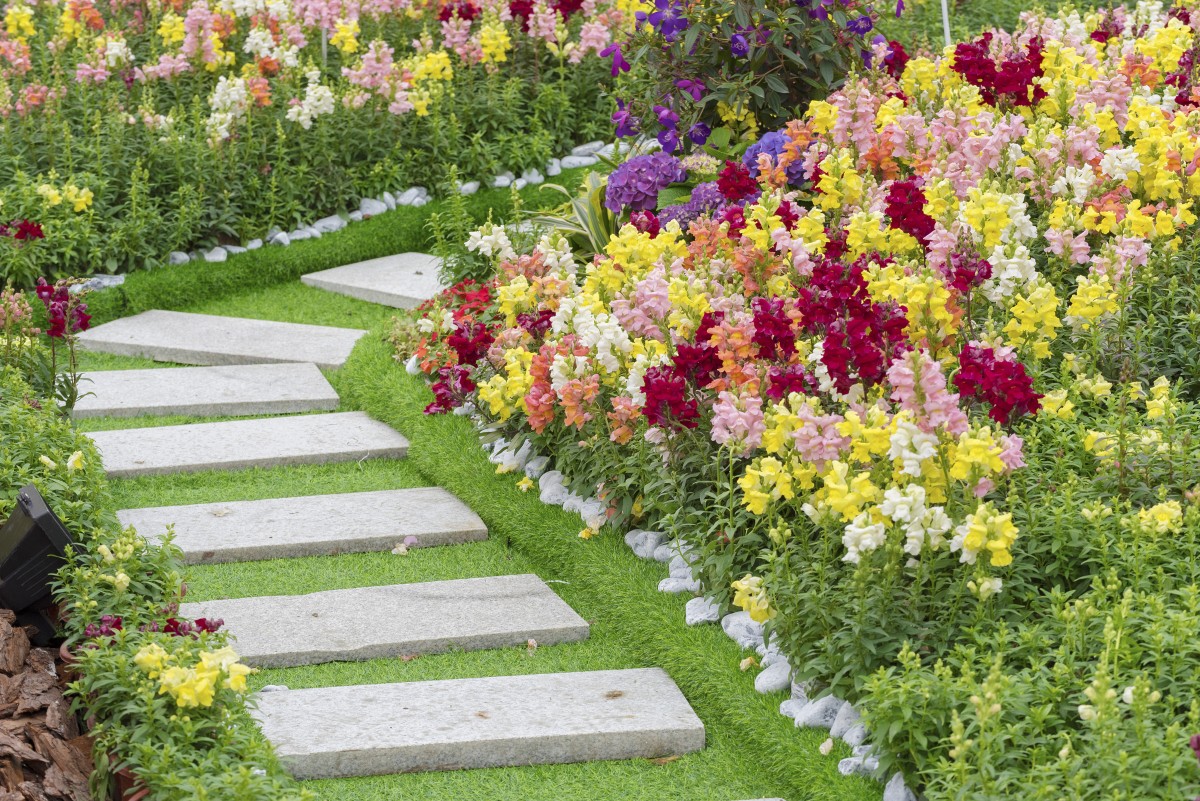 This Backyard Landscaping Idea