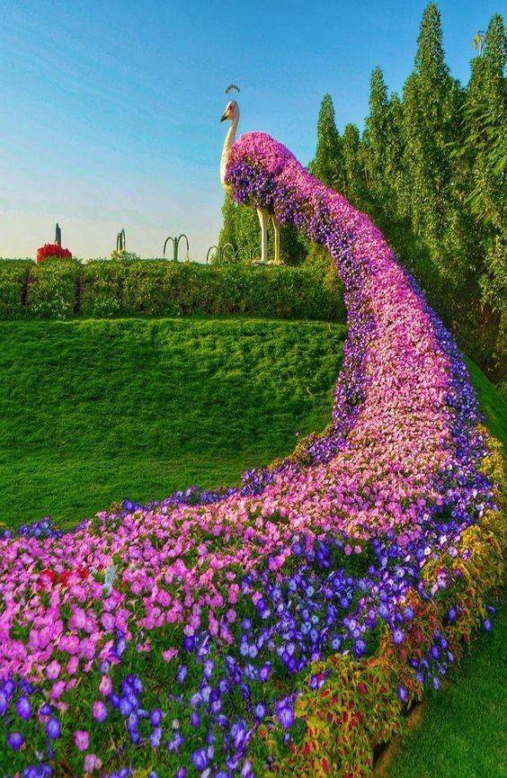 Your Landscape Interiorsherpa