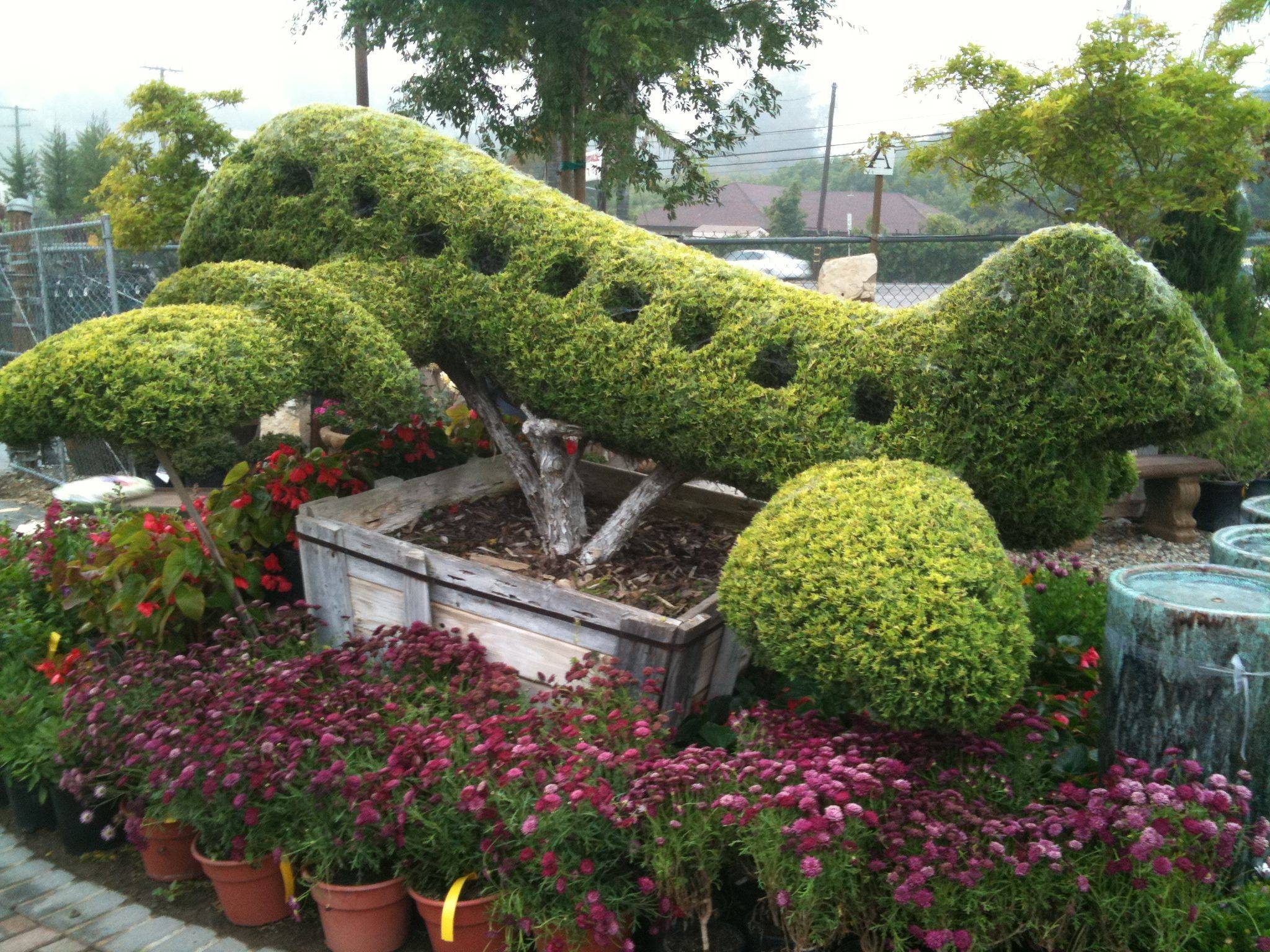 Argyle Park Topiary Garden