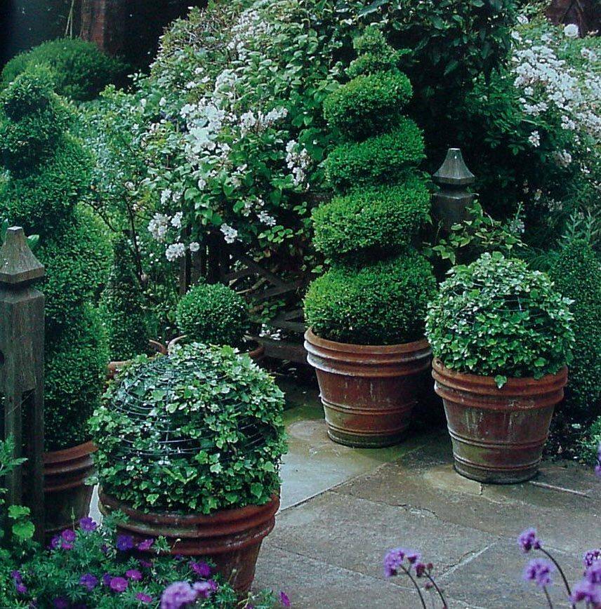 Front Garden Design Topiary