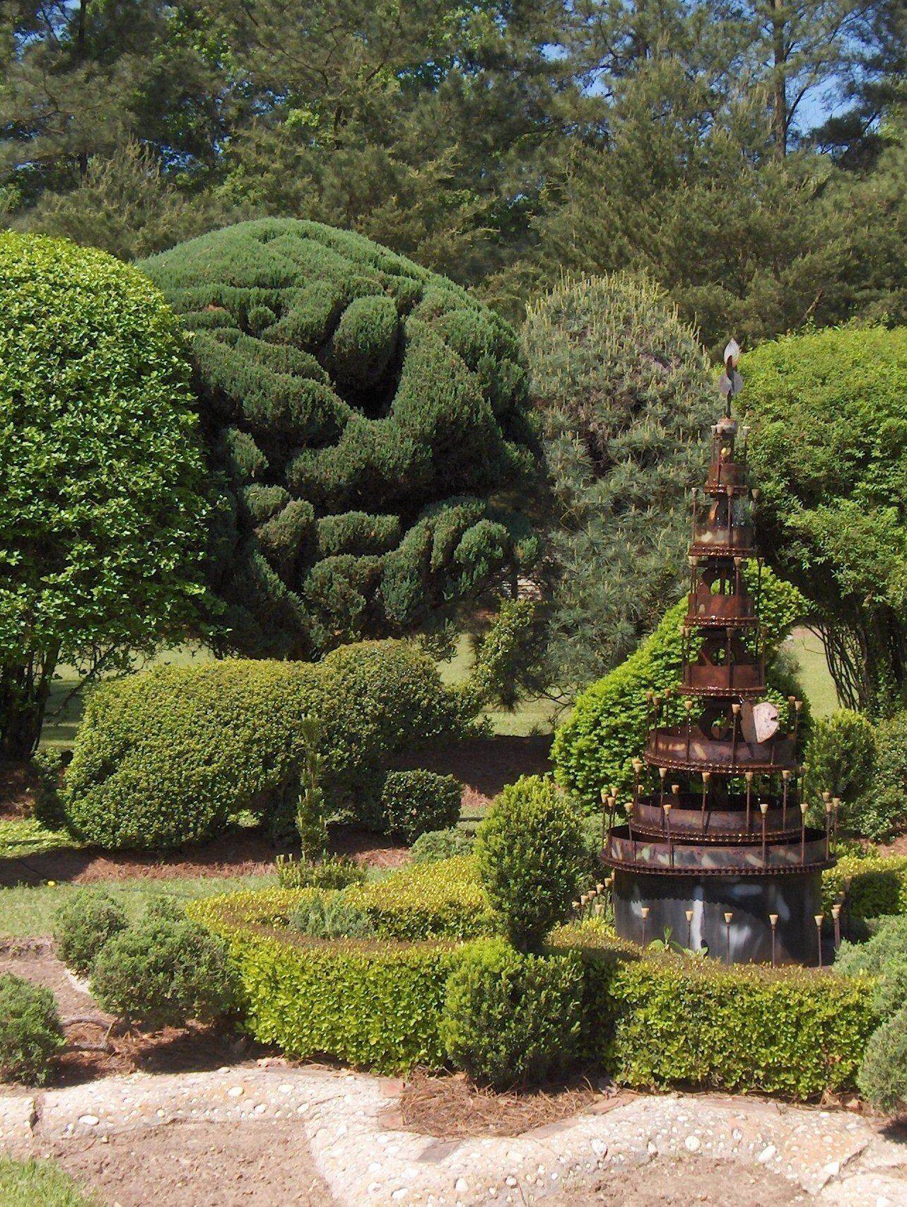 Rosemary Topiary Potager Garden