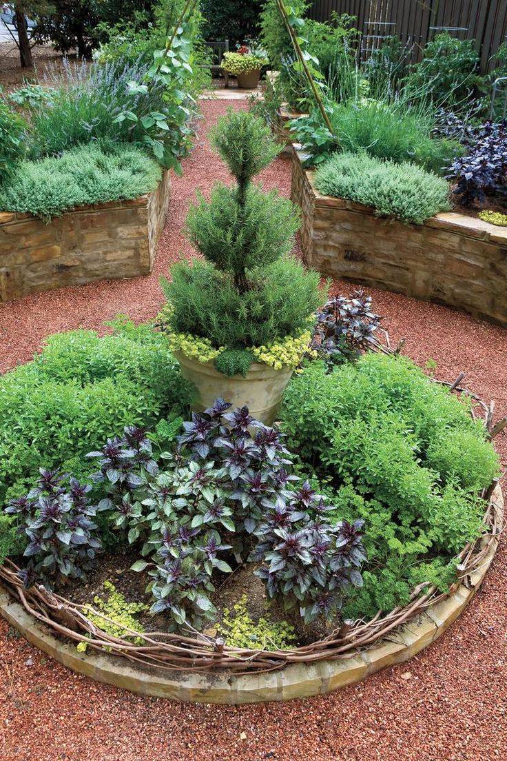 Topiaries Beautifully Potted Garden Ideas Pation Backyard Diy