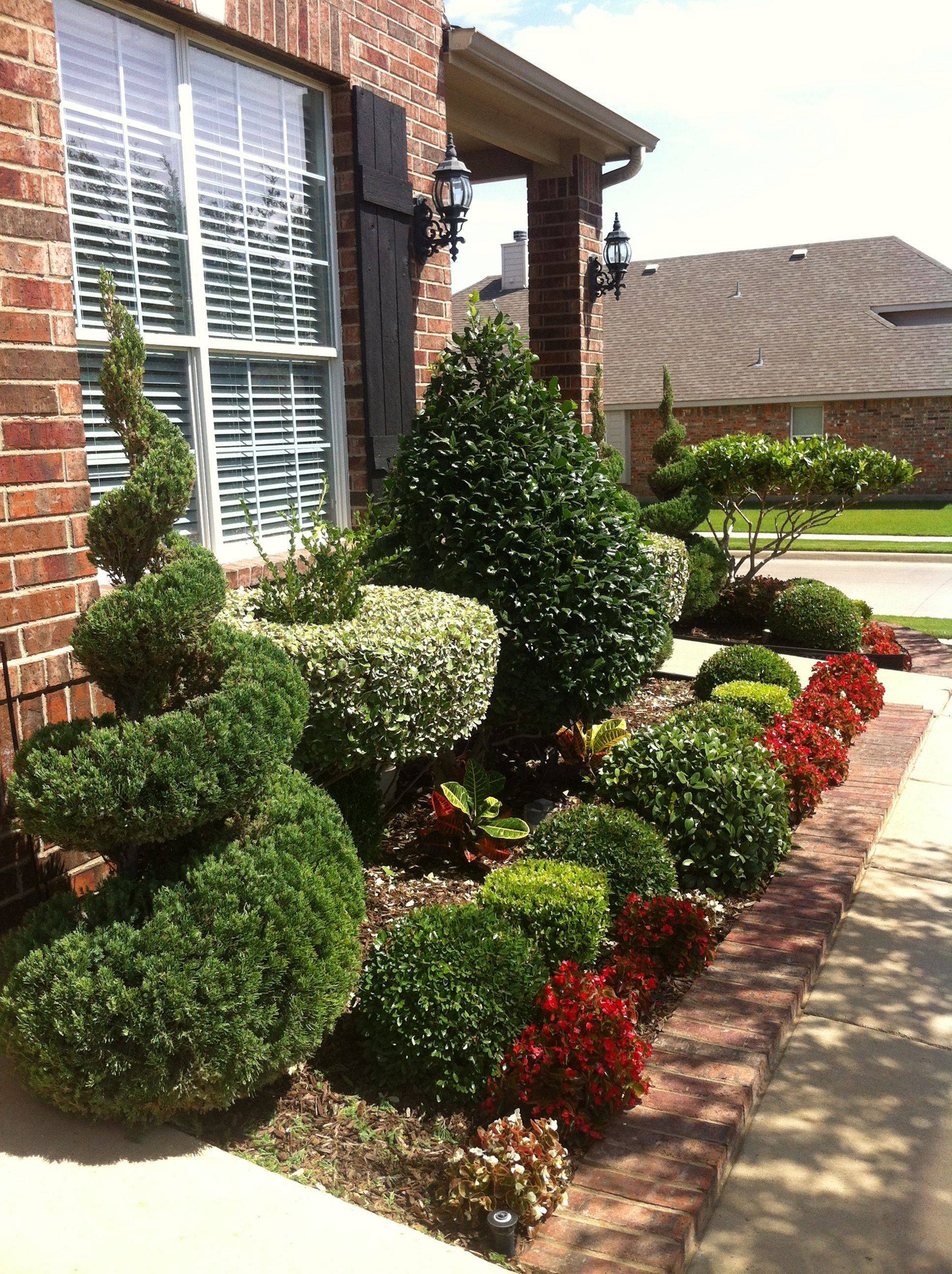 Topiary Shrubs