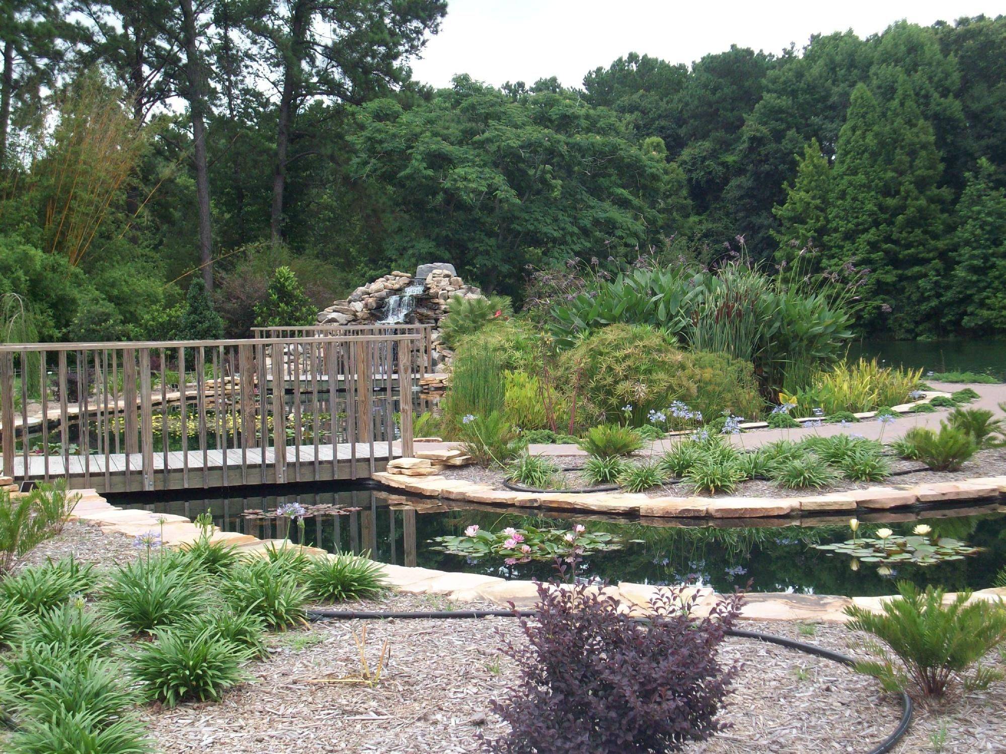 20 Savannah Botanical Garden Ideas To Try This Year SharonSable