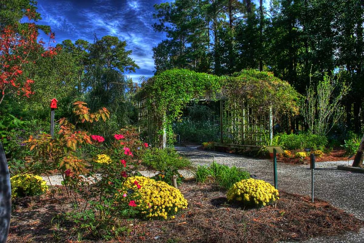 Savannah Botanical Garden Susan