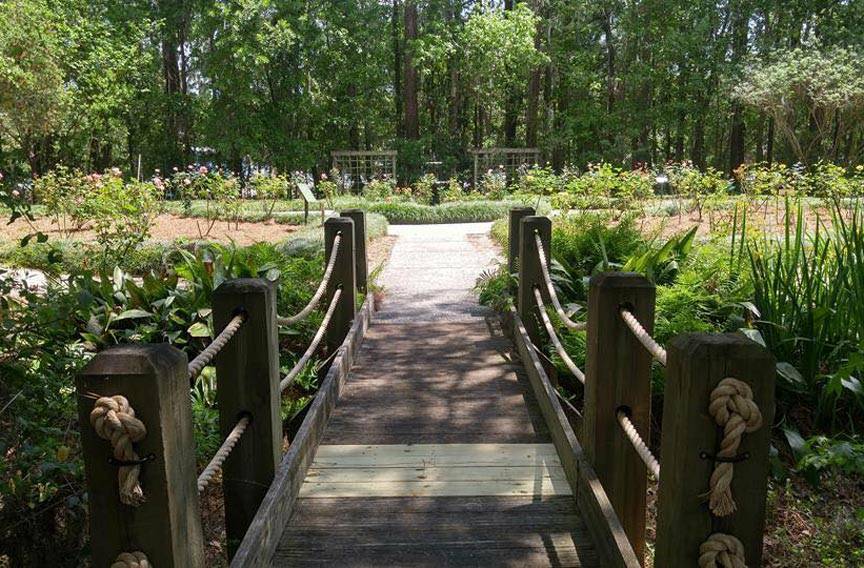 Savannah Botanical Garden Flickr Botanical Gardens Garden Places