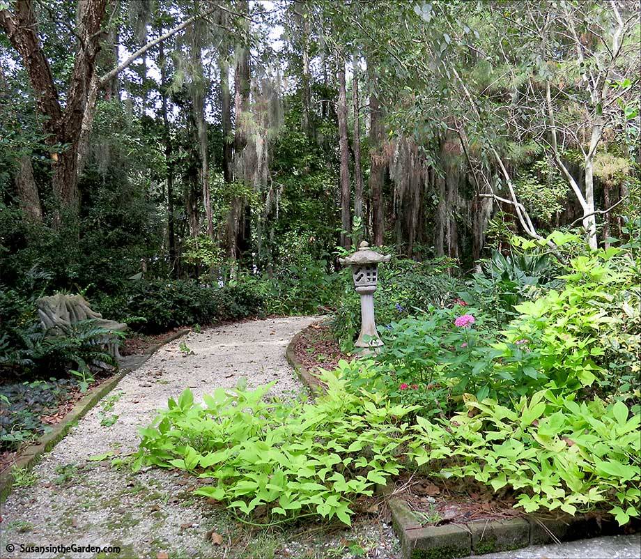 Savannah Botanical Garden Flickr Botanical Gardens Garden Places