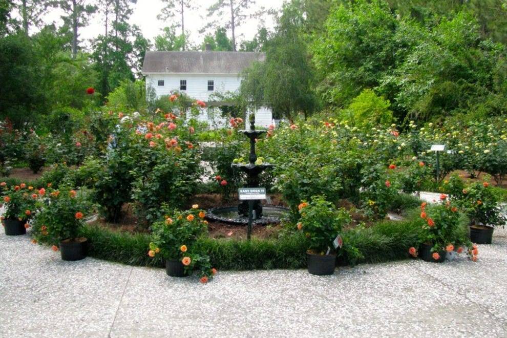 Savannah Botanical Gardens Harbinger