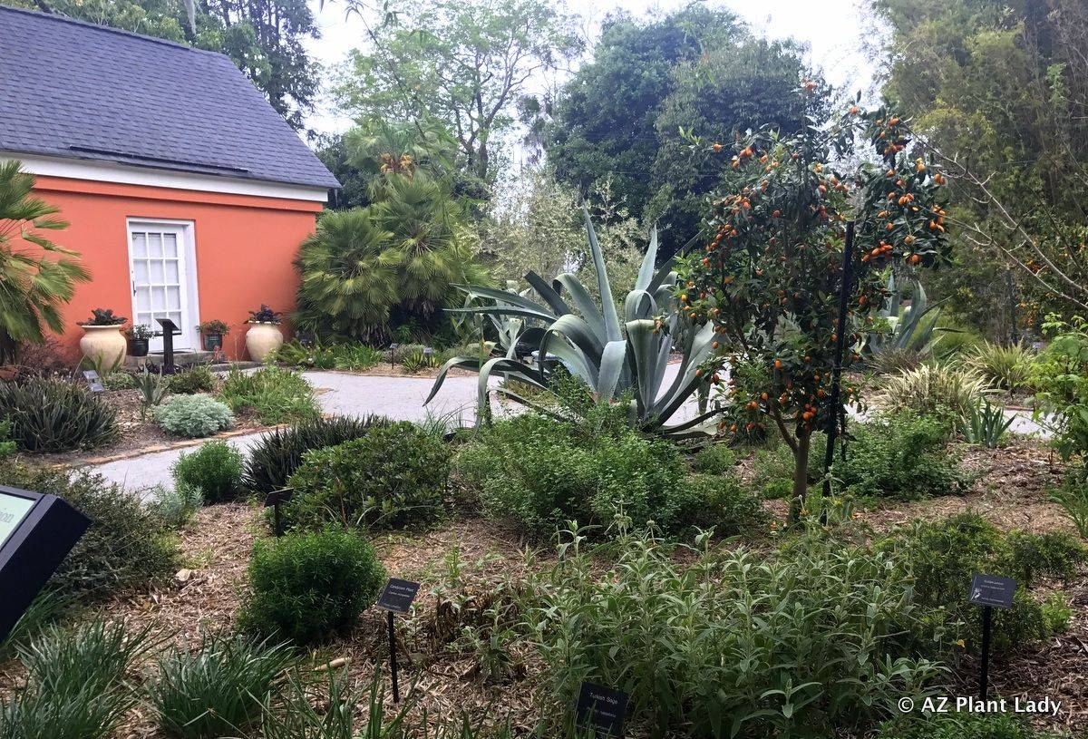 Savannah Garden Savannah Gardens