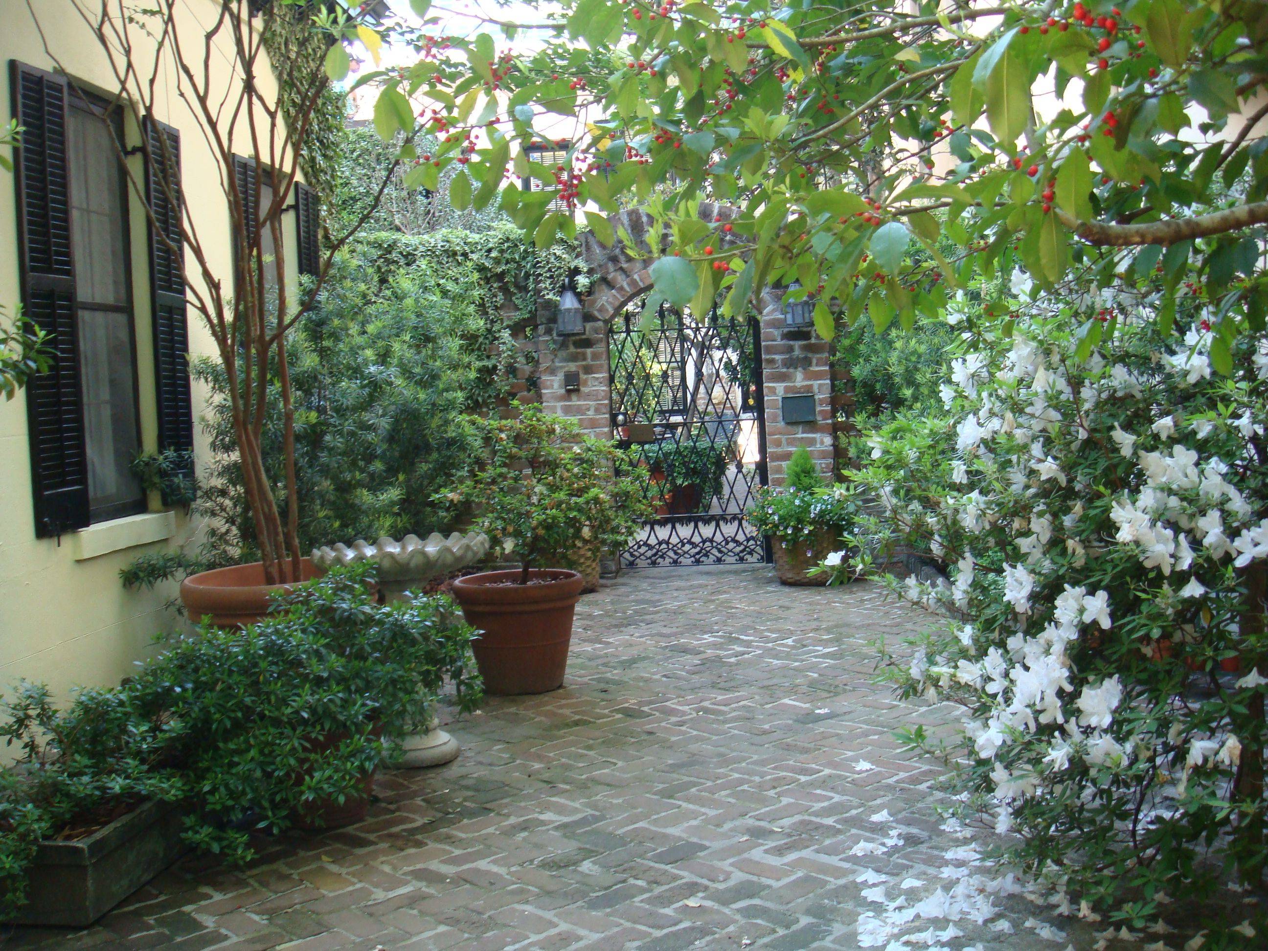 21 Savannah GA Garden Ideas To Try This Year SharonSable