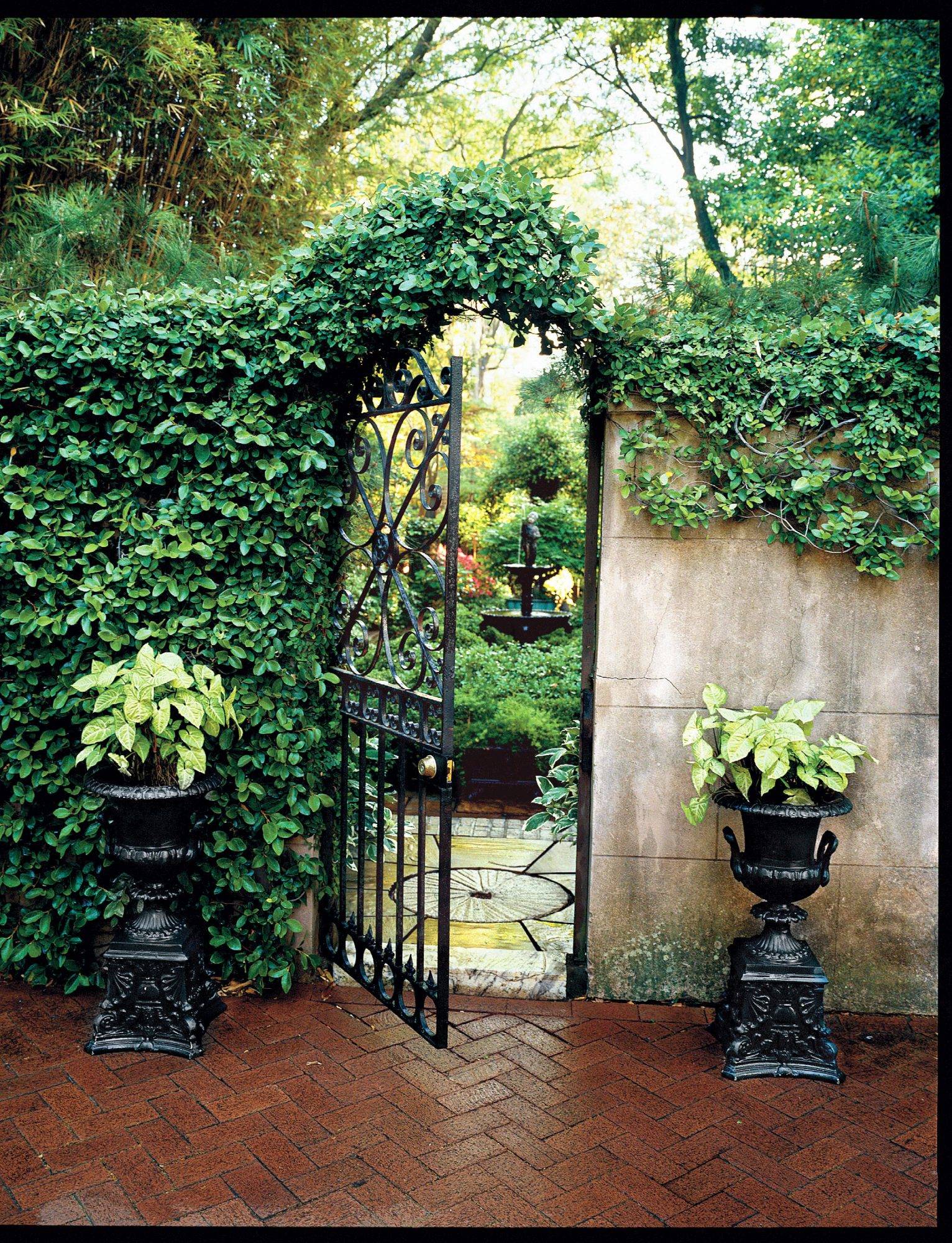 Savannah Savannah Gardens