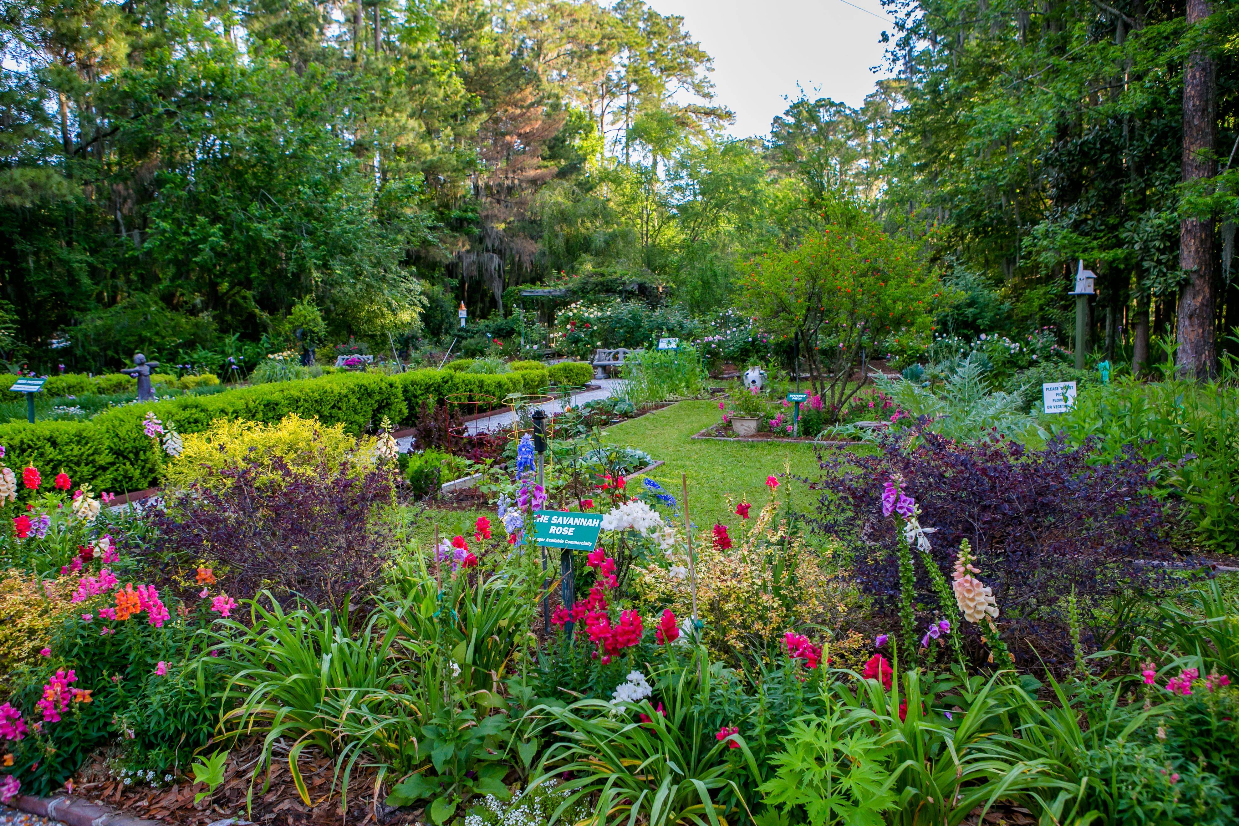 Savannah Style Garden Landscape Studio