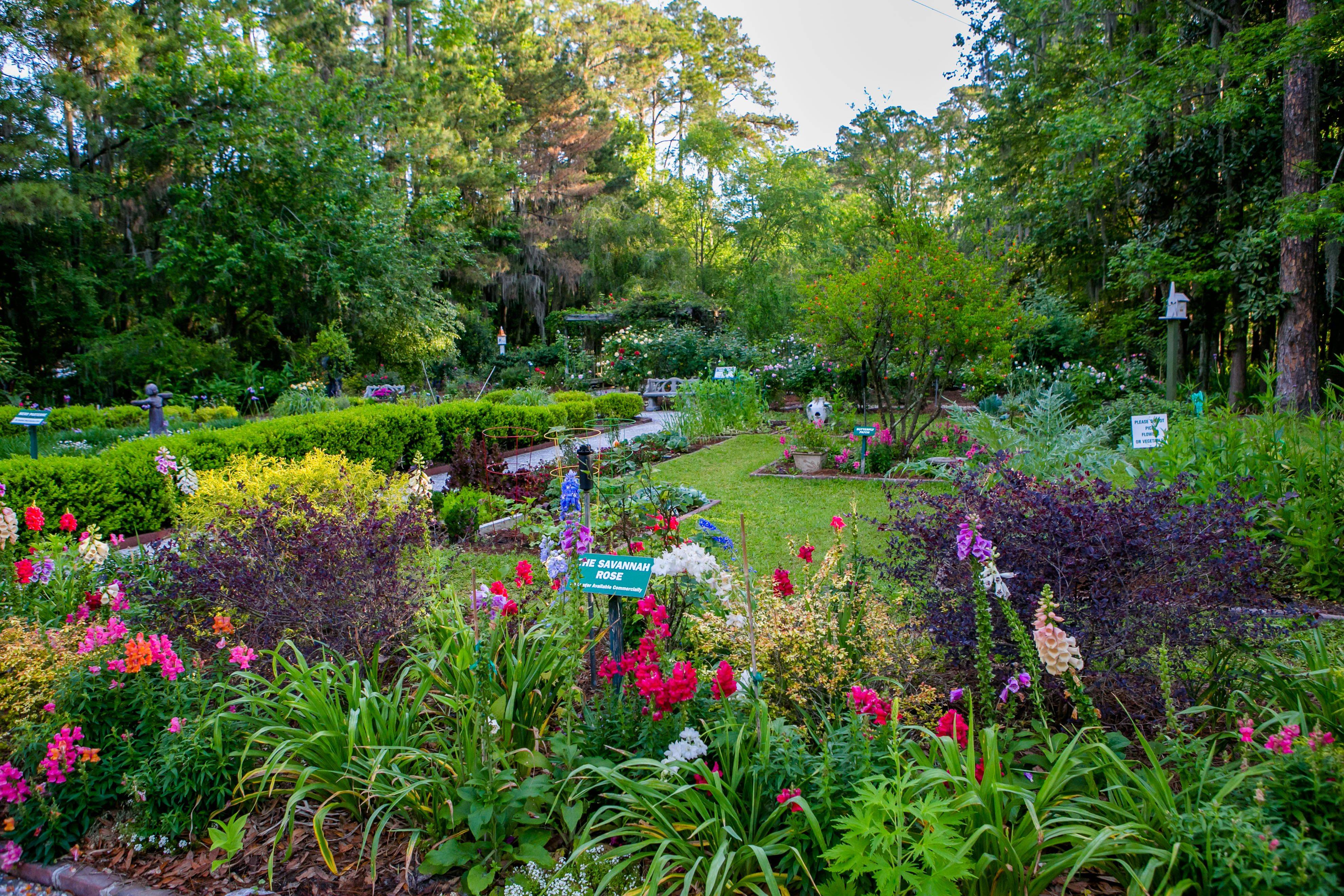 Atlanta Botanical Garden