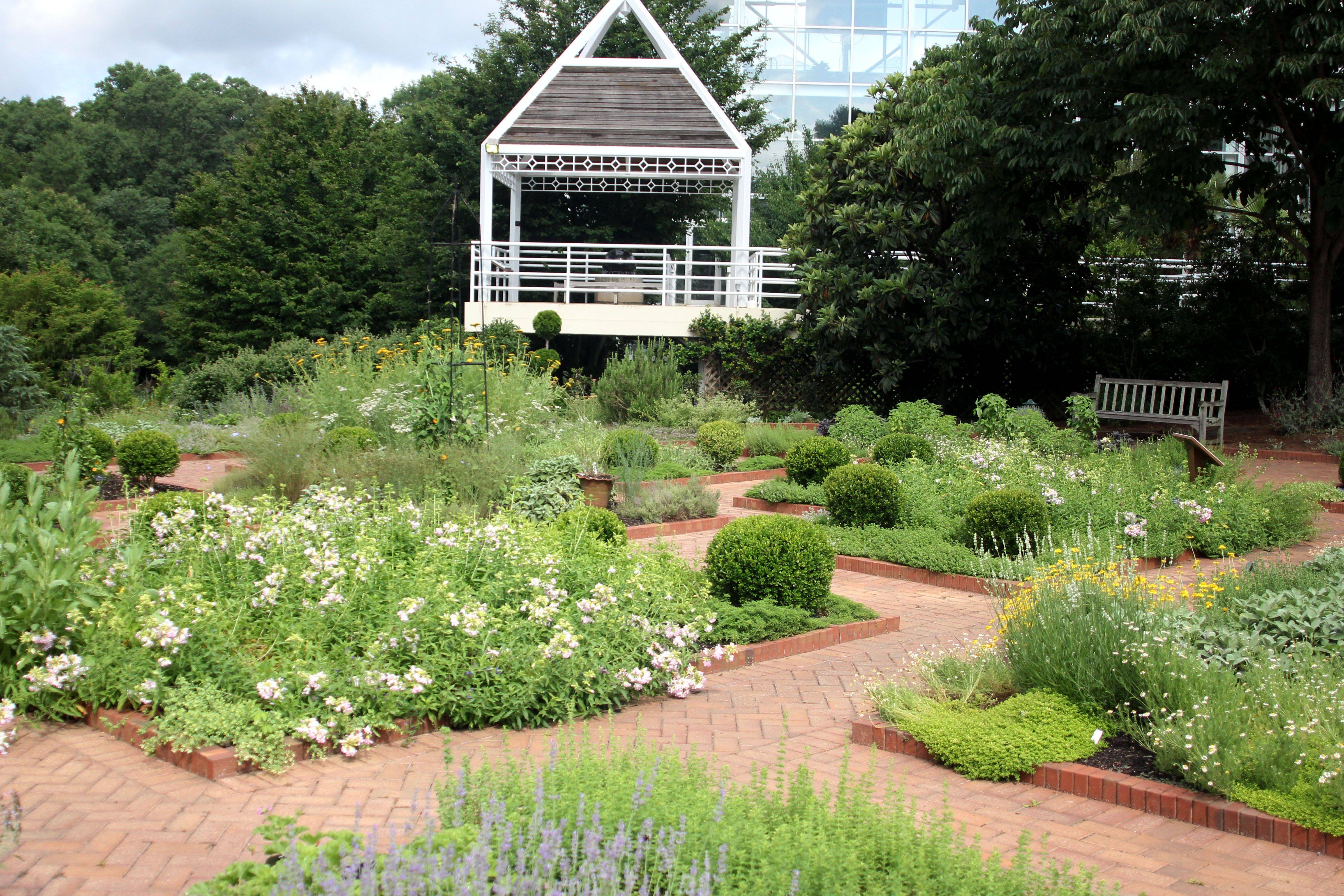 The Savannah Botanical Gardens