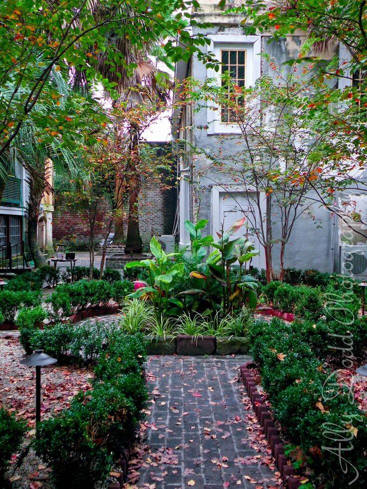 Evening Savannah Gardens