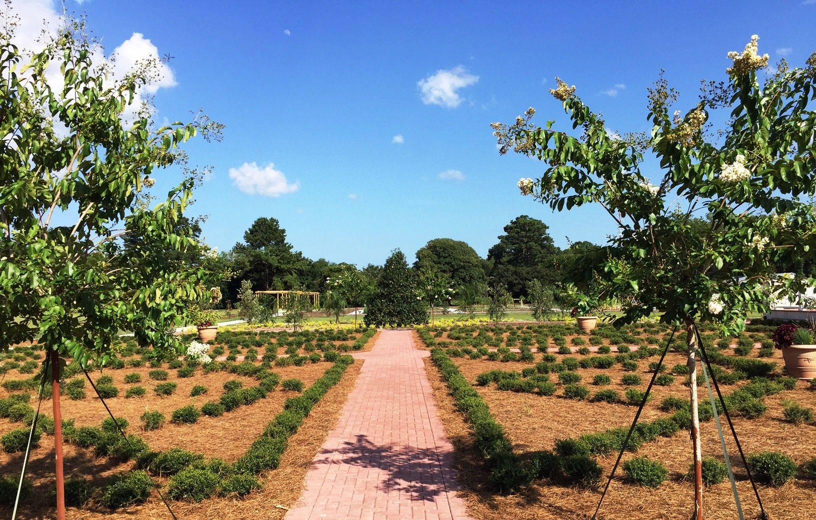Coastal Georgia Botanical Gardens