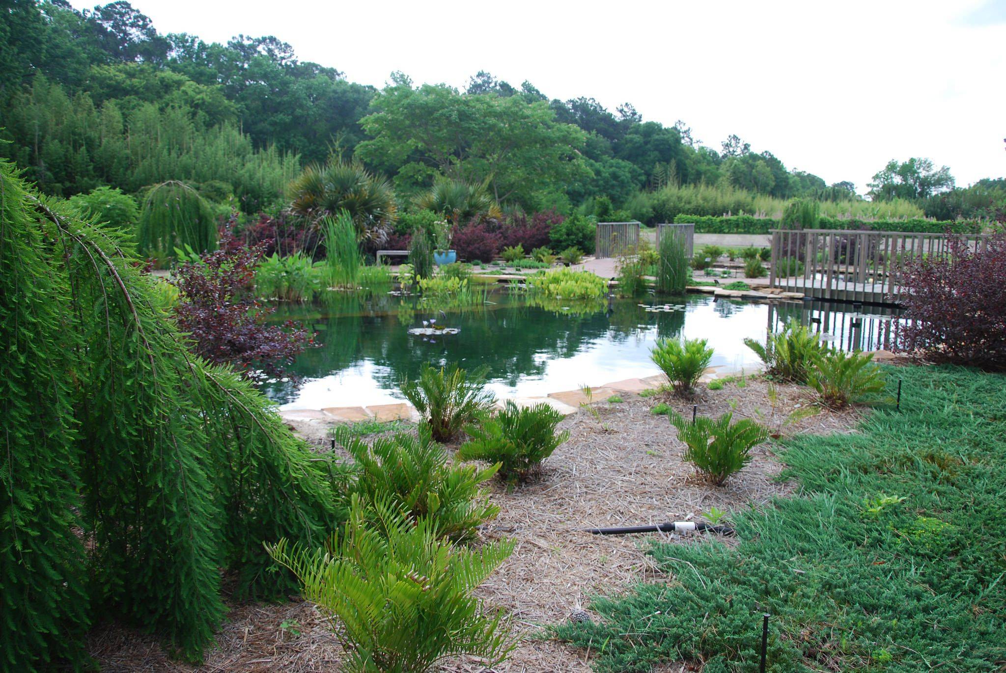 Coastal Maine Botanical Gardens Boothbay Alles Wat U Moet