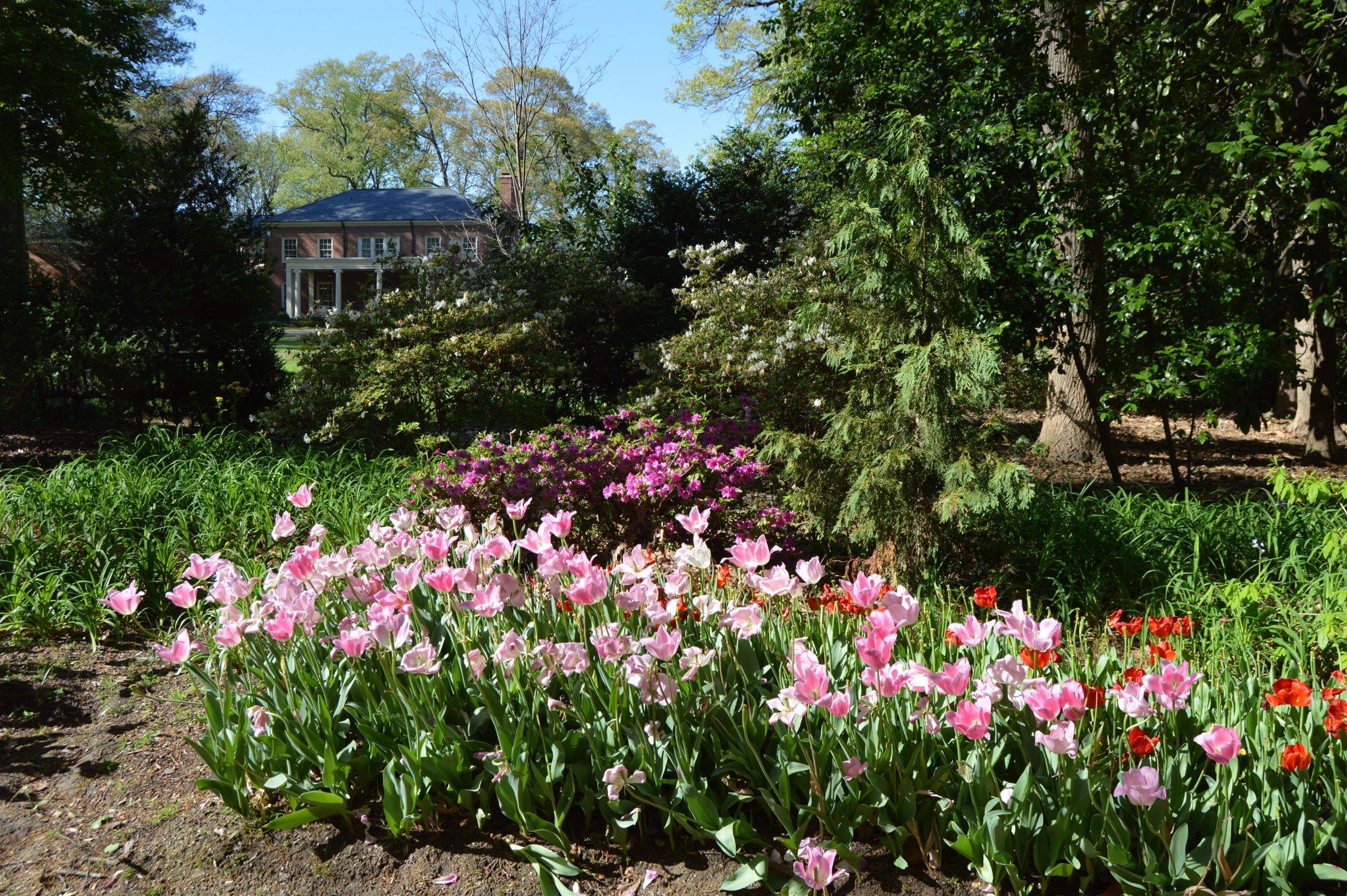 Coastal Georgia Botanical Gardens