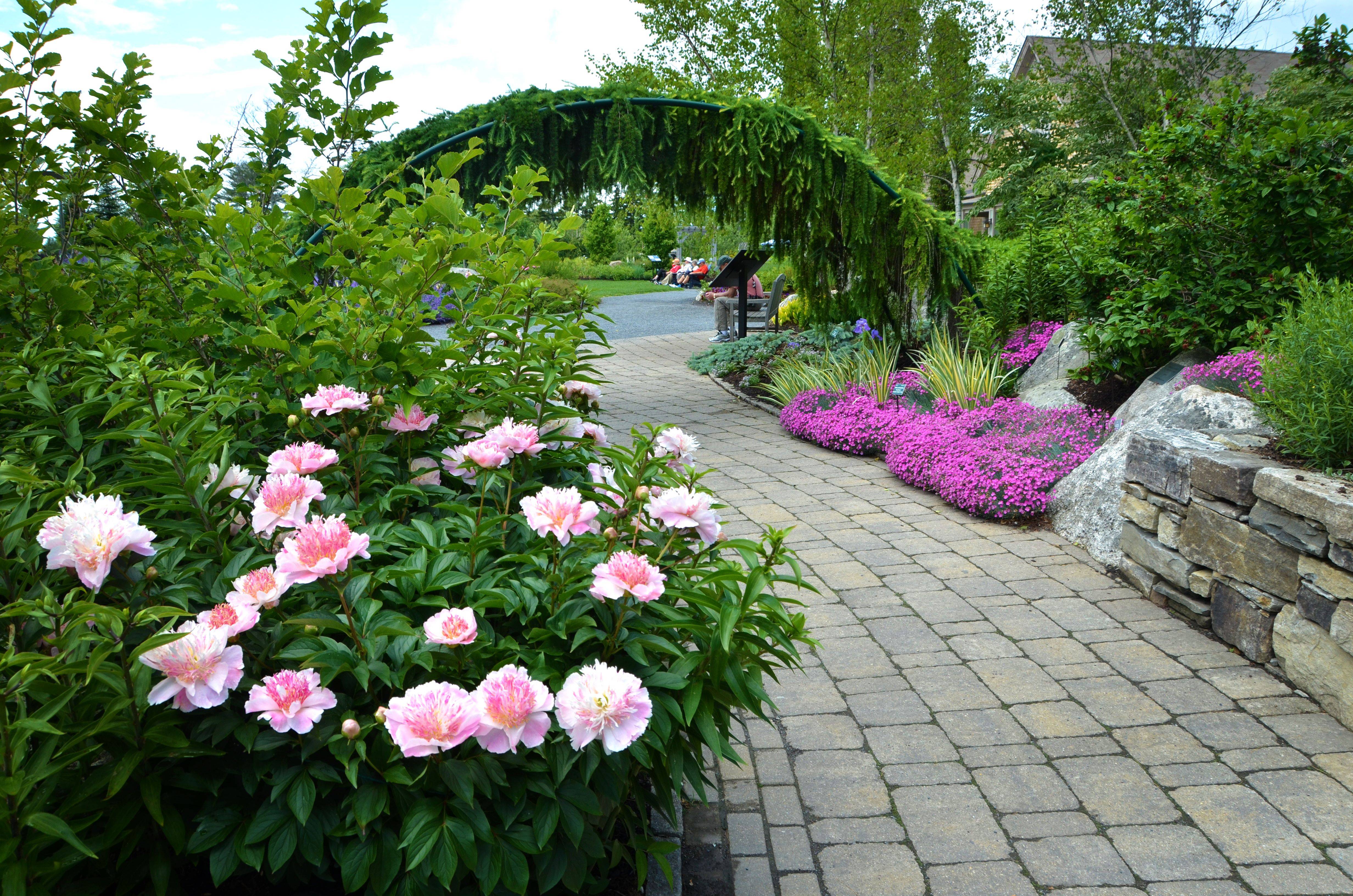Uga Botanical Gardens Savannah
