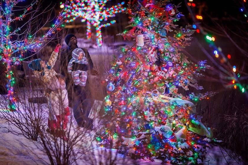 20 Savannah Botanical Garden Christmas Lights Ideas To Try This Year