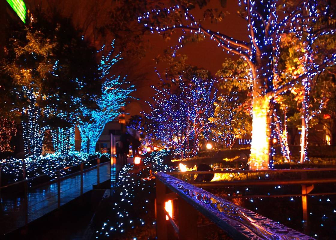 20 Savannah Botanical Garden Christmas Lights Ideas To Try This Year