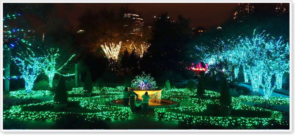 Atlanta Botanical Garden Christmas Lights