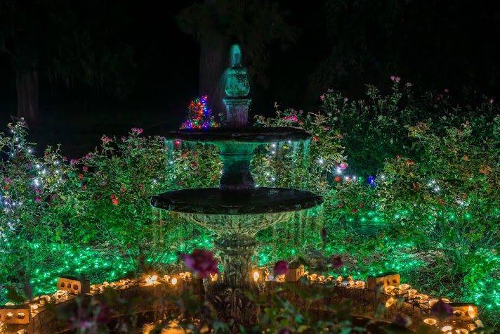 Botanical Gardens Christmas Lights Christmas Ideas