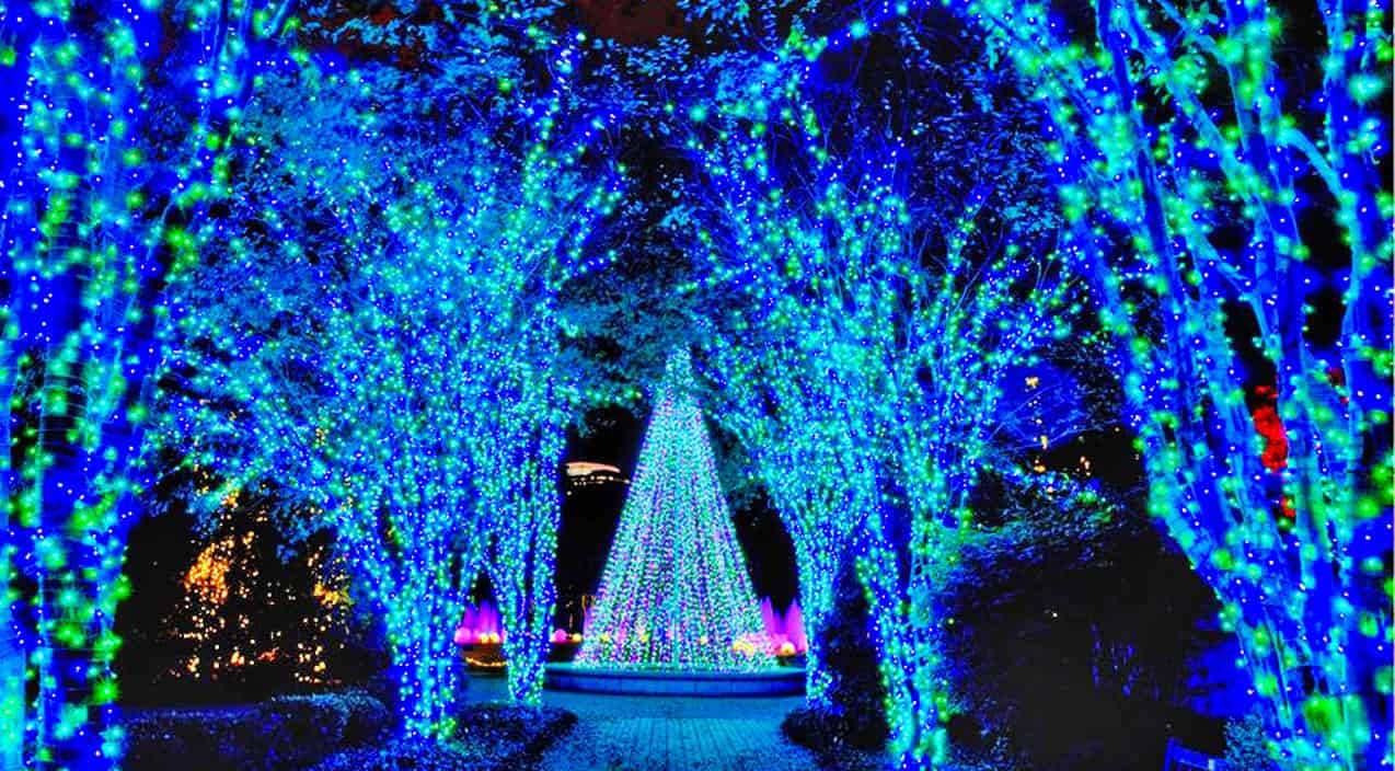 Botanical Gardens Christmas Lights Savannah Ga Beautiful Flower
