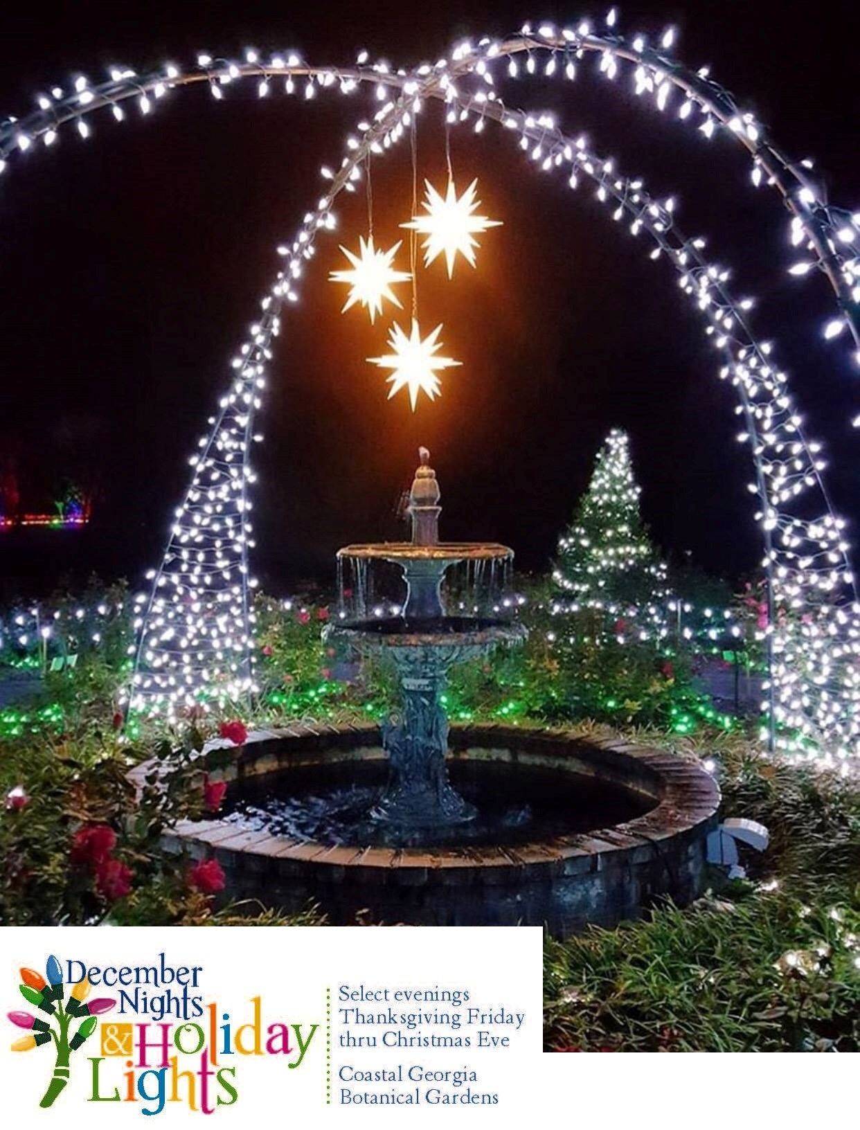 20 Savannah Botanical Garden Christmas Lights Ideas To Try This Year