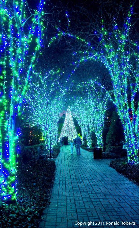 20 Savannah Botanical Garden Christmas Lights Ideas To Try This Year