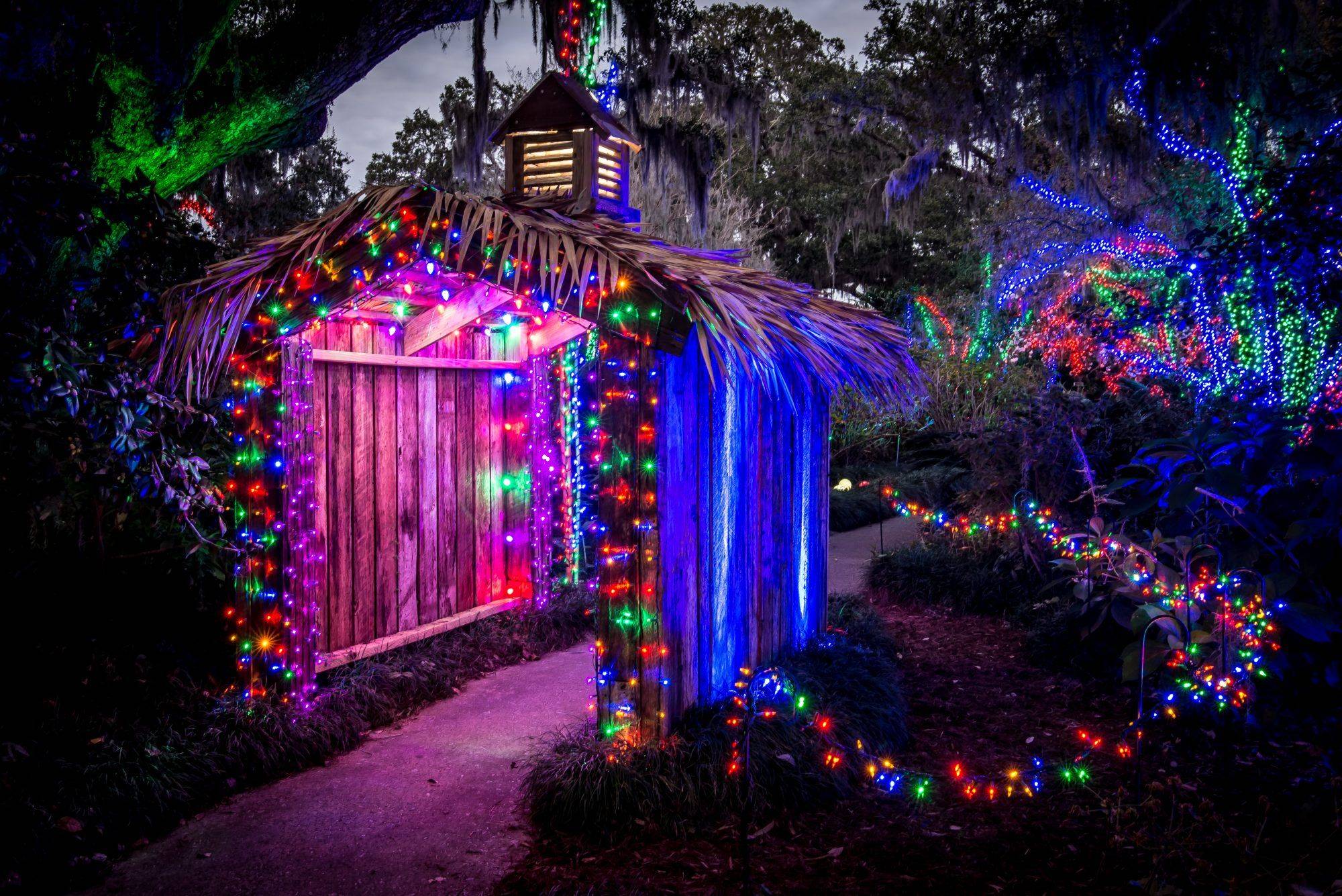 Coastal Georgia Botanical Gardens Holiday Lights Rose Gardencourtesy