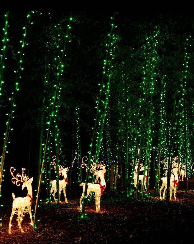 Coastal Georgia Botanical Gardens