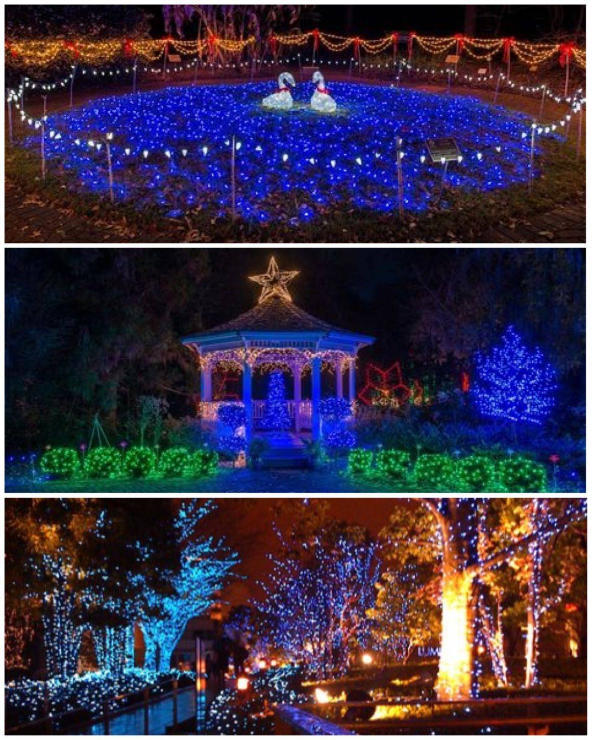 Pin On Tis The Season