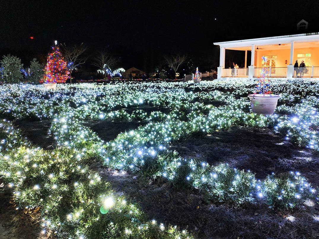 Wellfield Botanic Gardens Christmas Lights Christmas Ideas