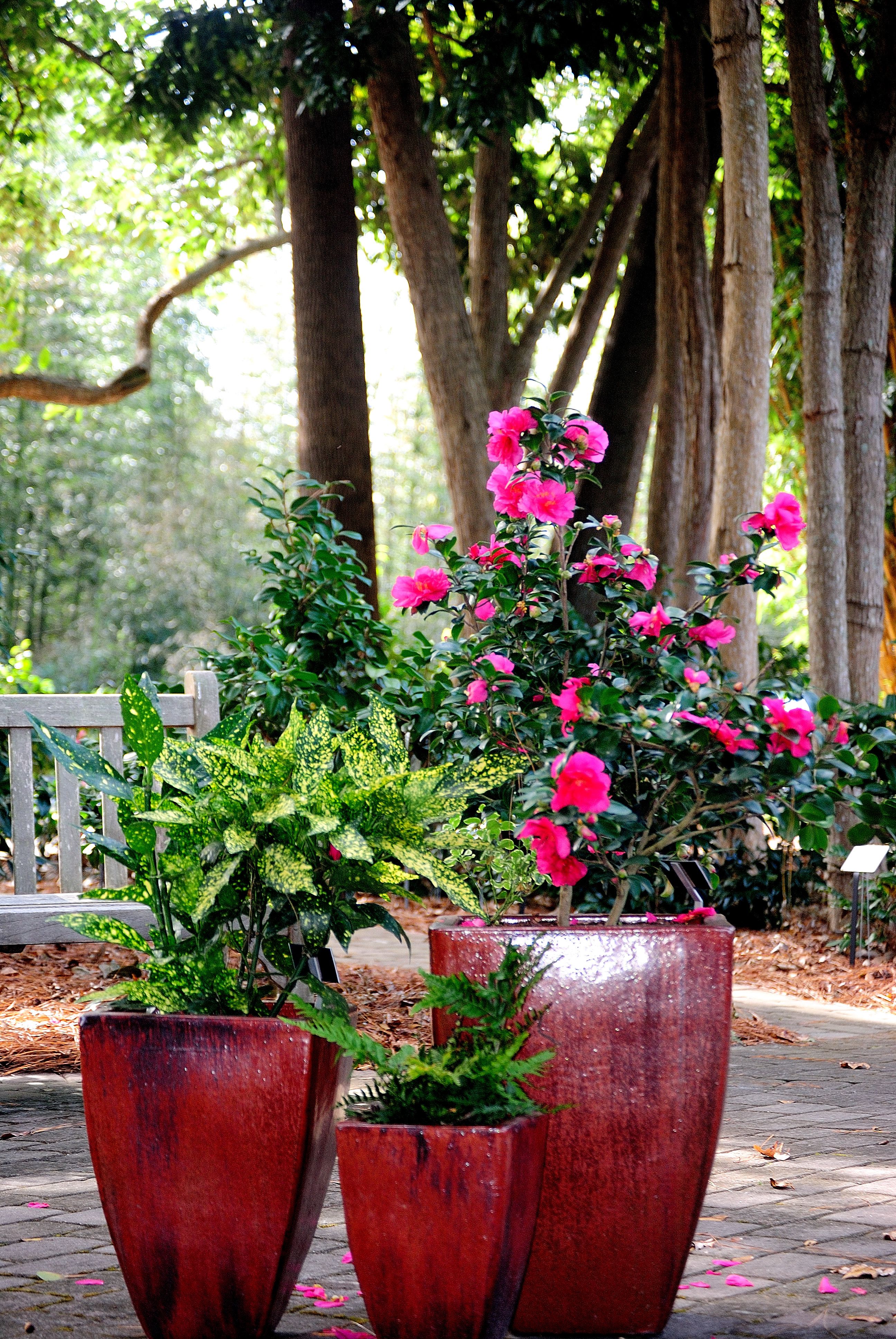 Your Garden Care Information