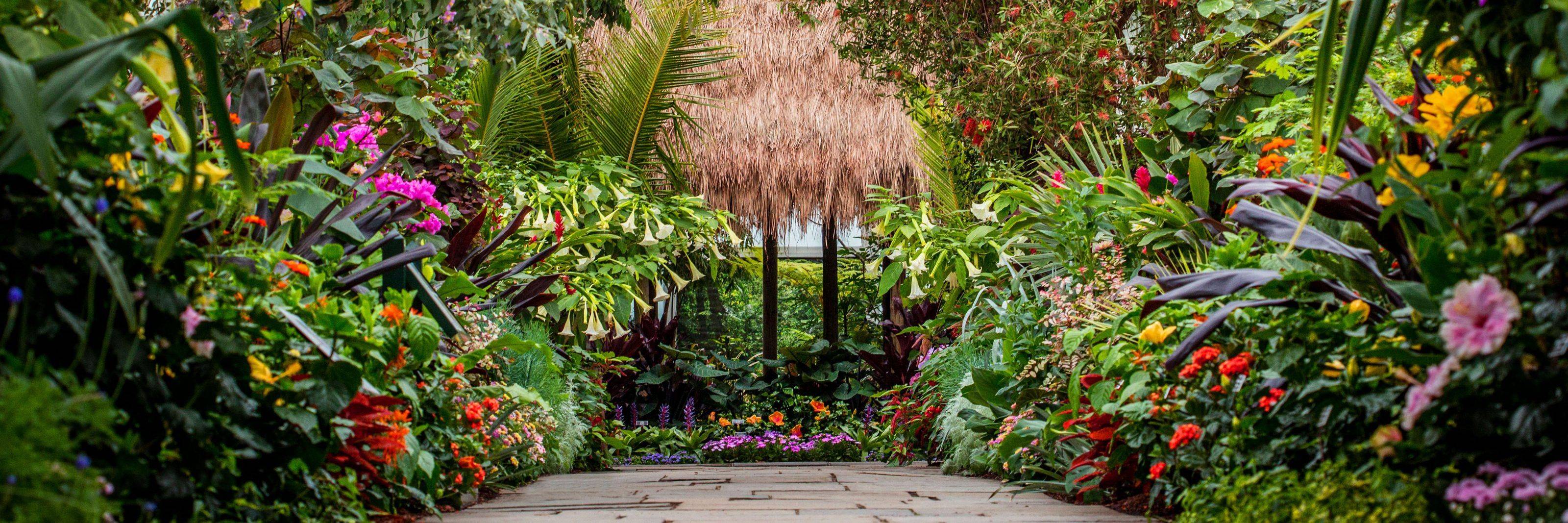 Atlanta Botanical Gardens