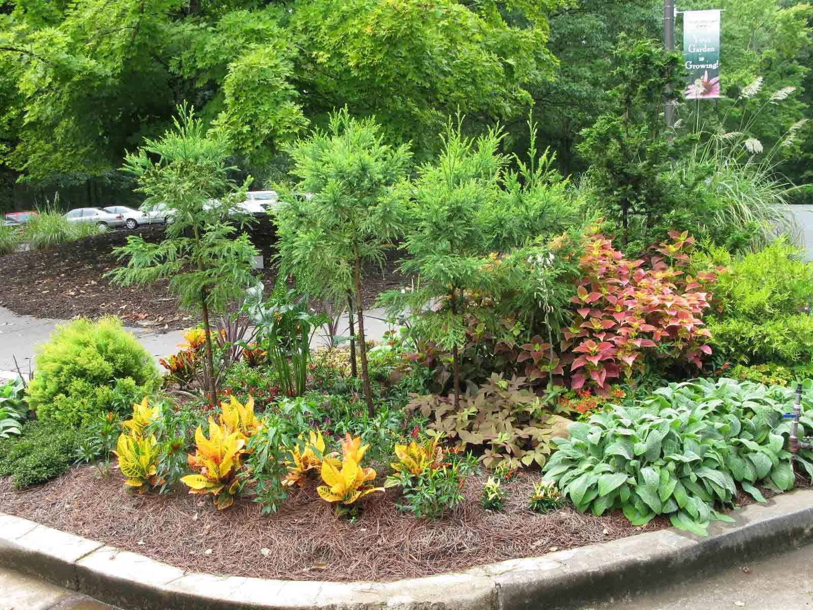 Tropical Garden