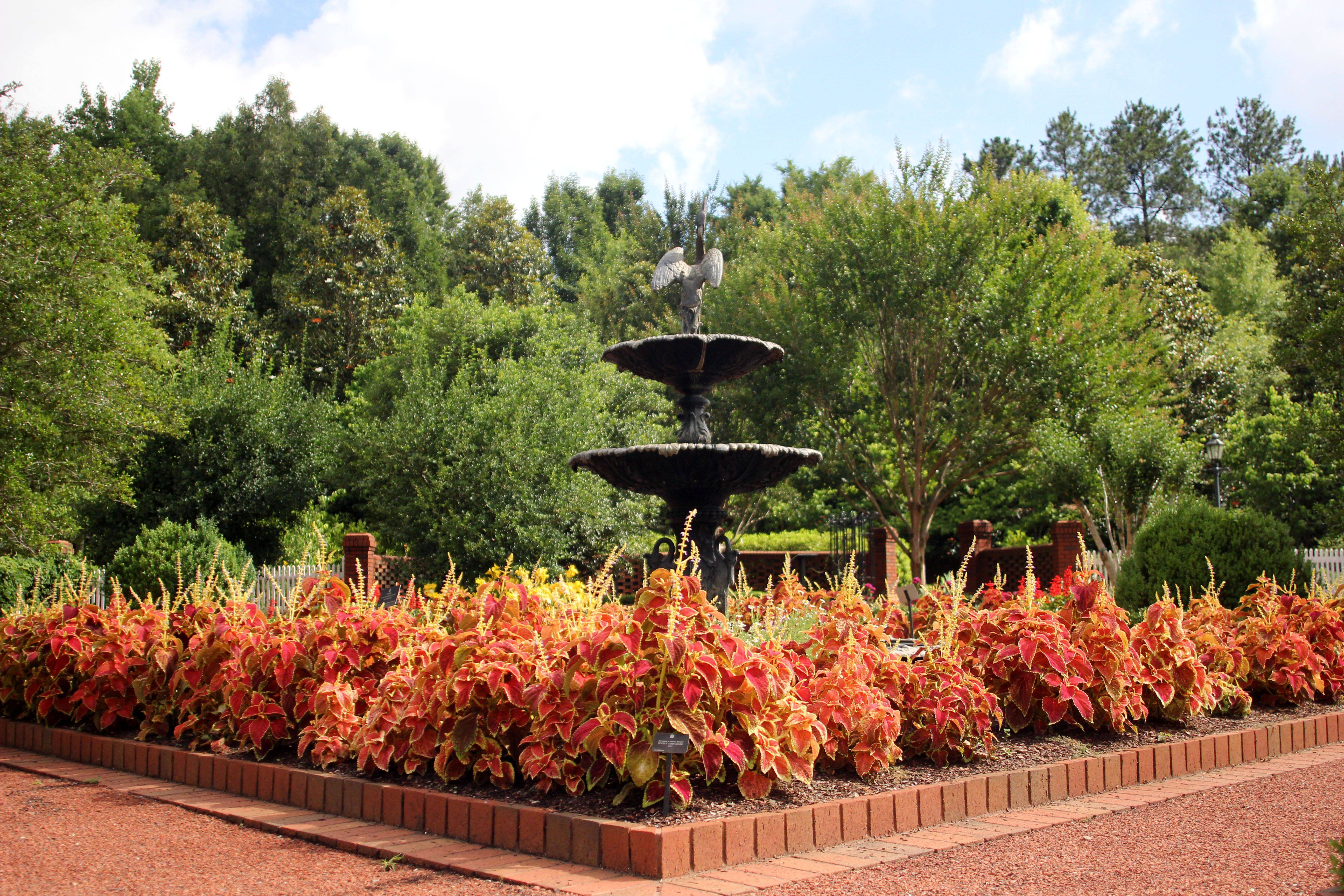 Georgia Insectival Garden