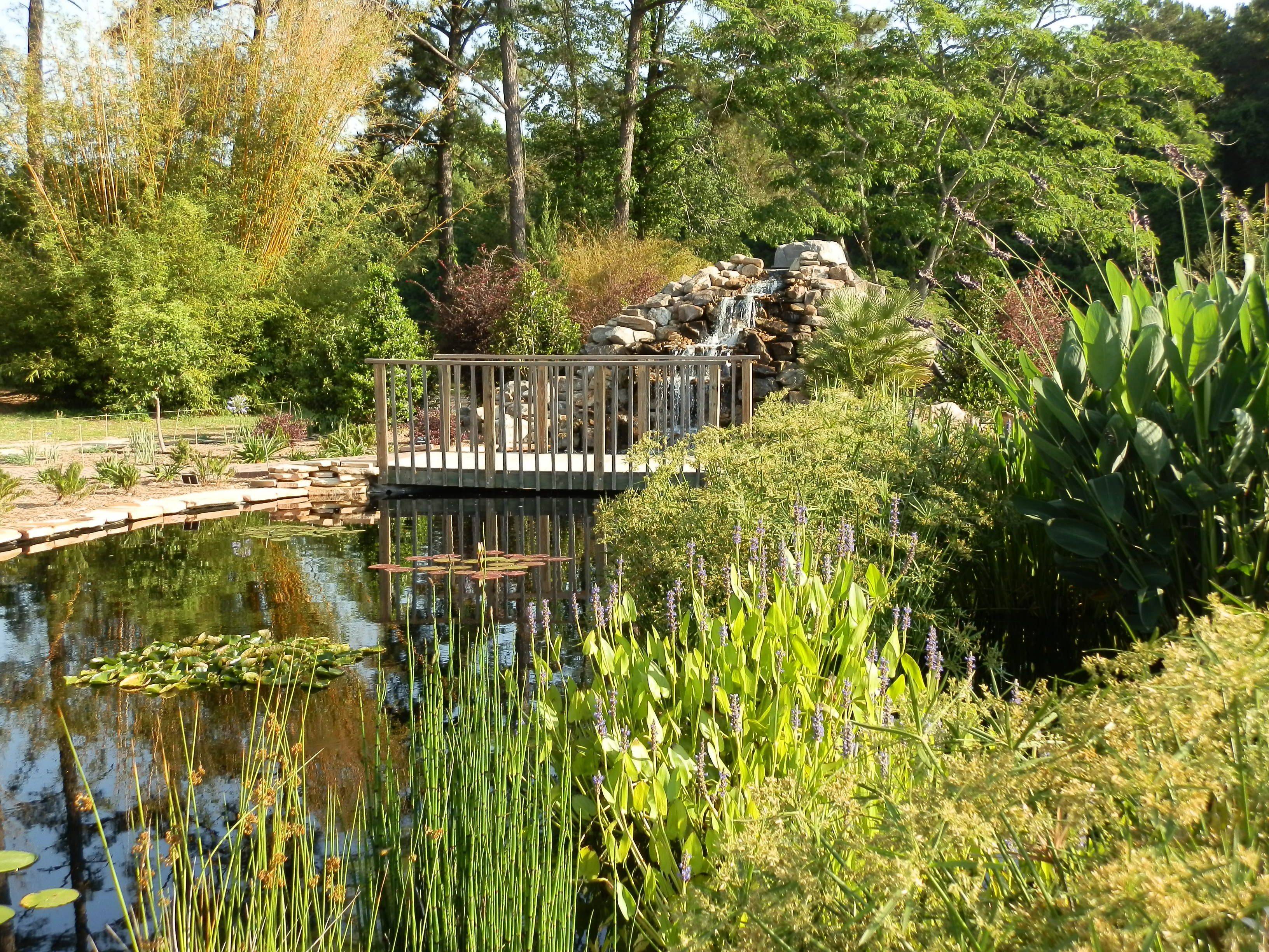 Coastal Georgia Botanical Gardens