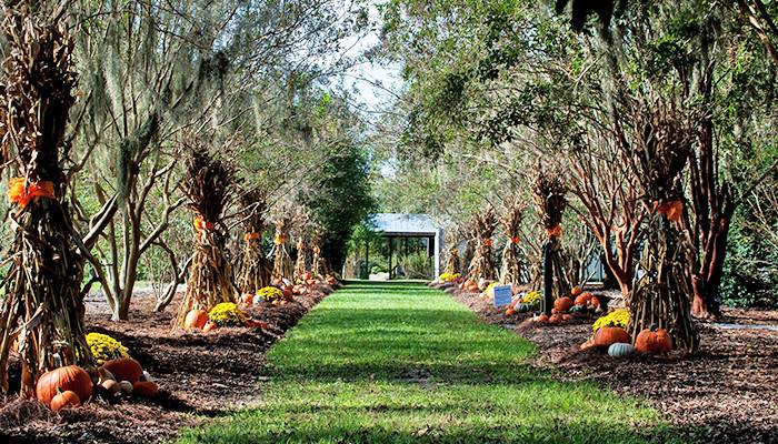 Coastal Georgia Botanical Gardens Venue Savannah