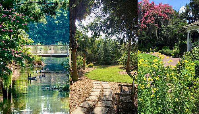 Savannah Botanical Gardens Botanical Gardens Savannah Chat Garden