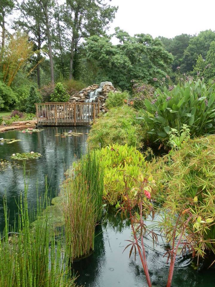 Savannah Botanical Gardens Reviews Home Garden