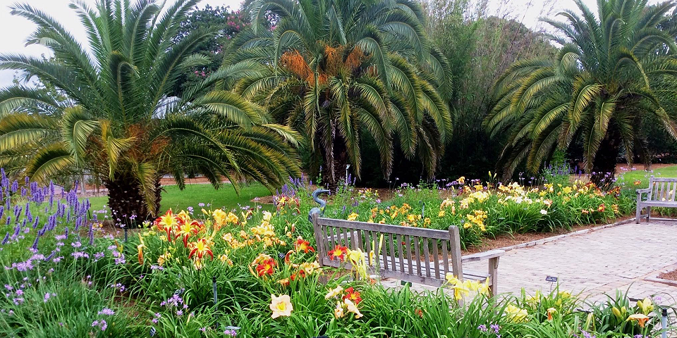 Savannah Garden Savannah Gardens