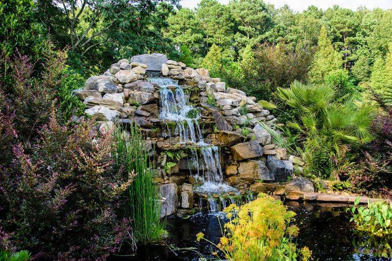 Atlanta Botanical Garden