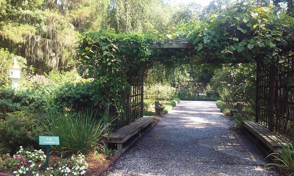 Uga Botanical Gardens Savannah