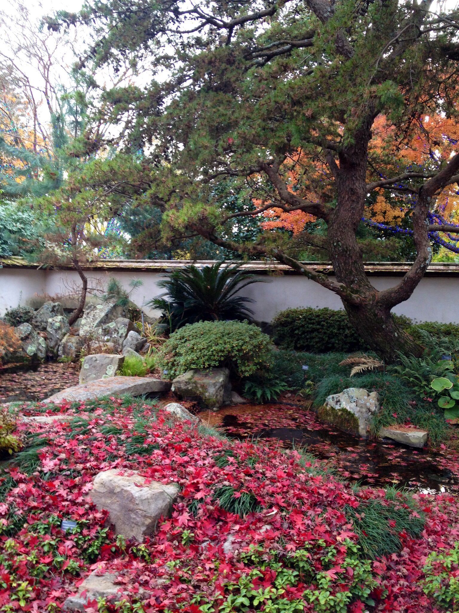 The State Botanical Garden
